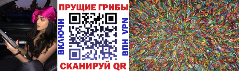 omg tor  Змеиногорск  Галлюциногенные грибы GOLDEN TEACHER 